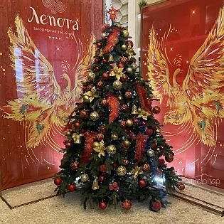 ПРАЗДНИЧНЫЕ ЗАЕЗДЫ