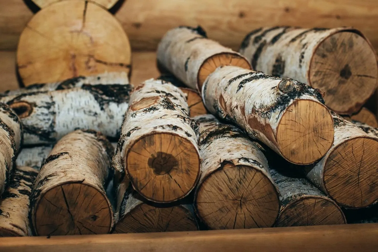 tariff Детский билет