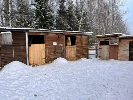 Терема - фото 23