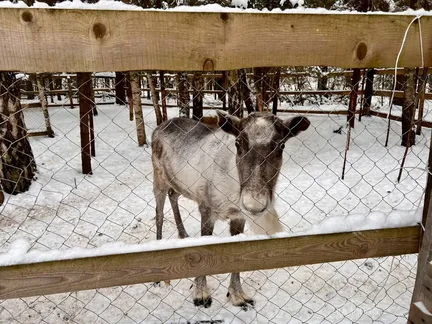 Терема - фото 24