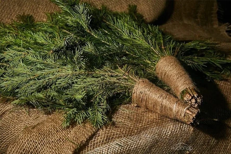 Нижегородские бани - фото 2