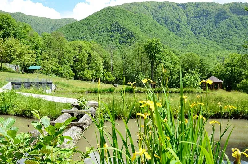 Рыбино