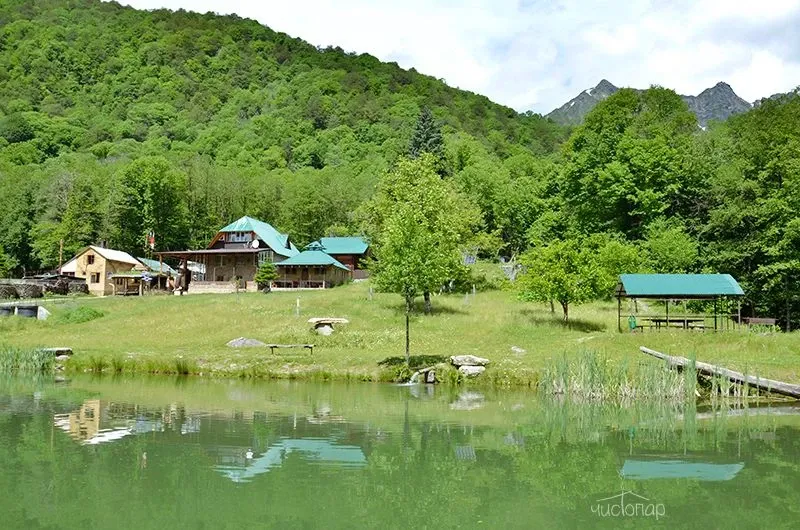 Рыбино