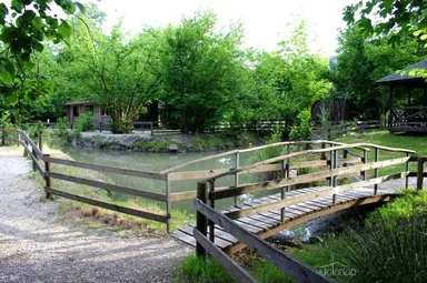 Пикник - фото 1