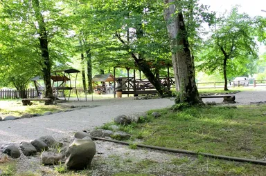 Пикник - фото 4