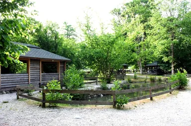 Пикник - фото 5