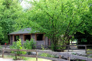 Пикник - фото 10