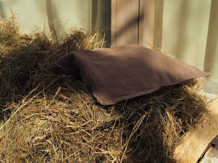 НеБаня - фото 20