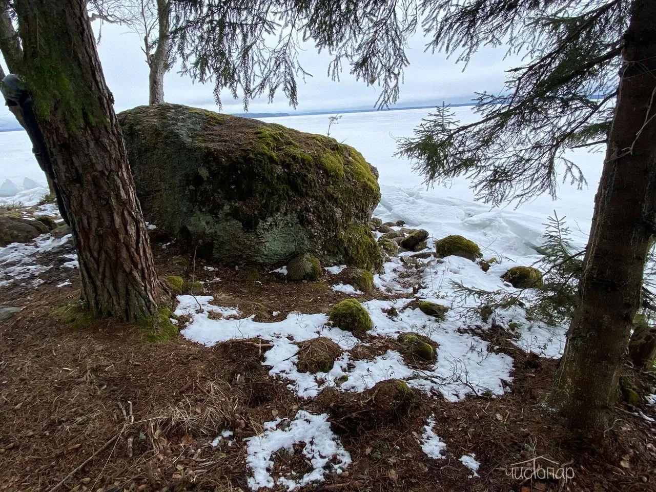 DEEP LAKE HOUSE - фотография DEEP LAKE HOUSE
