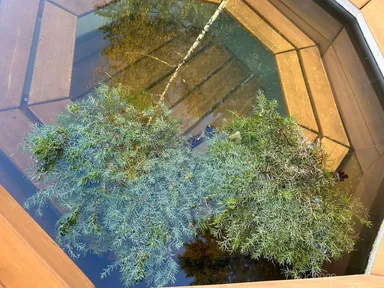 Салтан - фото 26