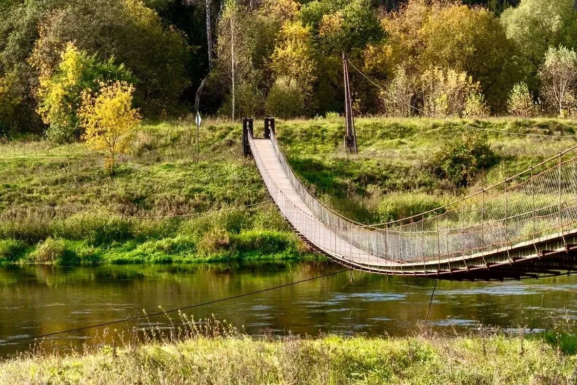 Рузская Аляска - фотография Рузская Аляска