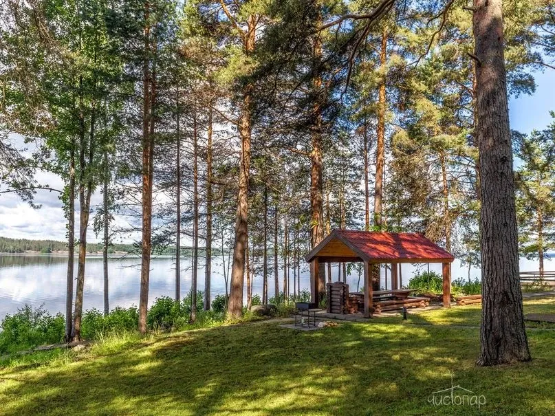 Cosmos Karelia - фотография Cosmos Karelia