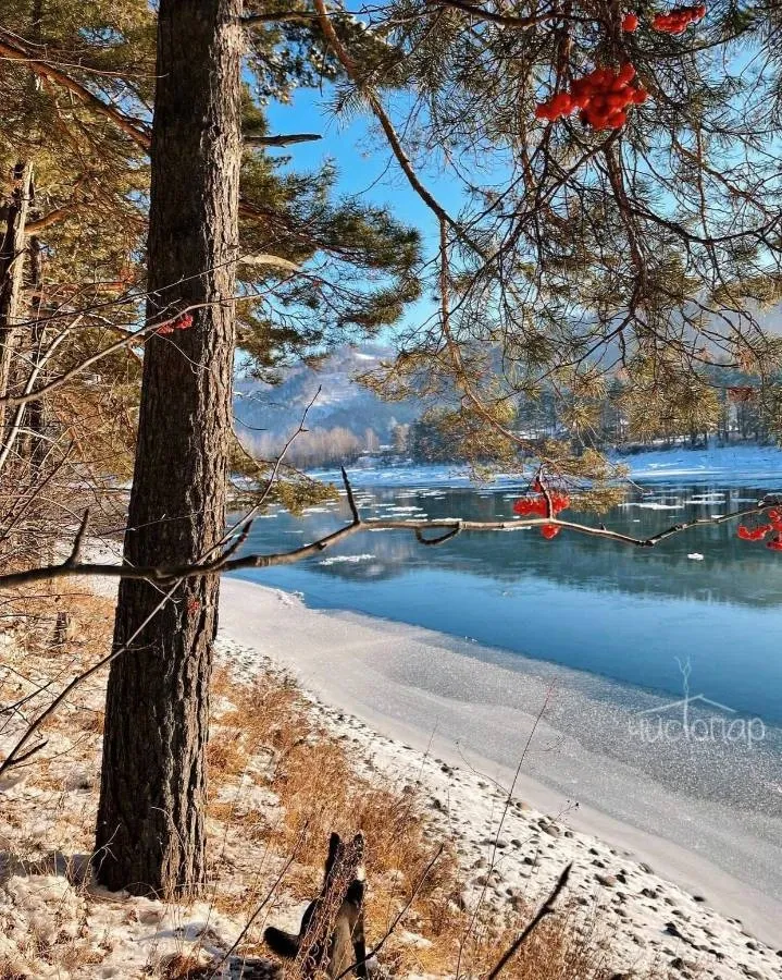 Etnica - фотография Etnica