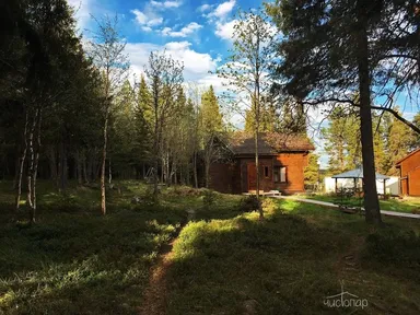 Cedar Grass "Белое Море" - фото 15