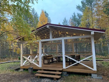 Вереск - фото 7