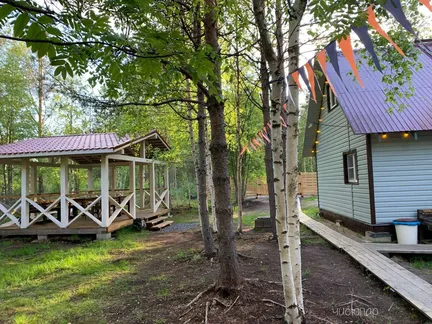 Вереск - фото 13