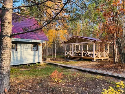 Вереск - фото 17