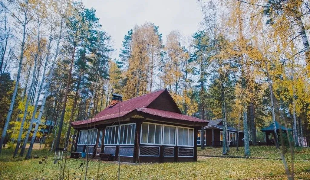 Авиаретро - фотография Авиаретро