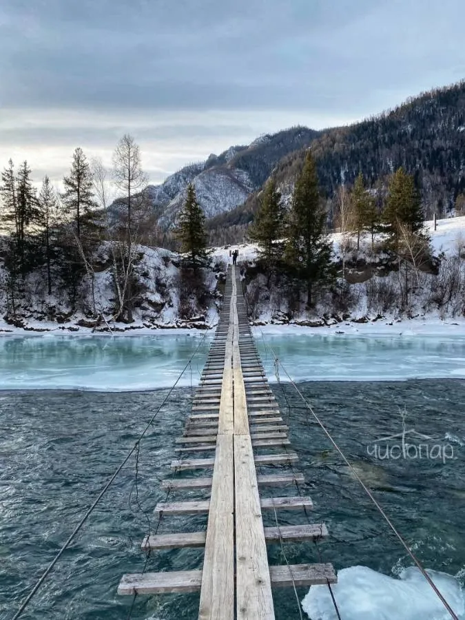 Сельская Усадьба - фотография Сельская Усадьба