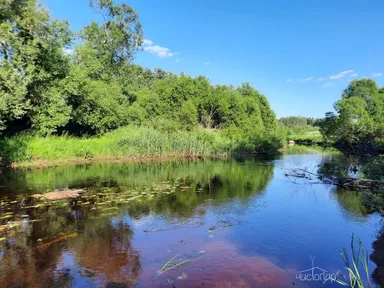 У реки - фото 1