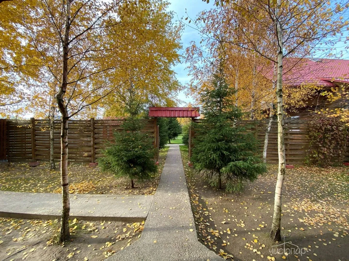 Кривцово - фотография Кривцово