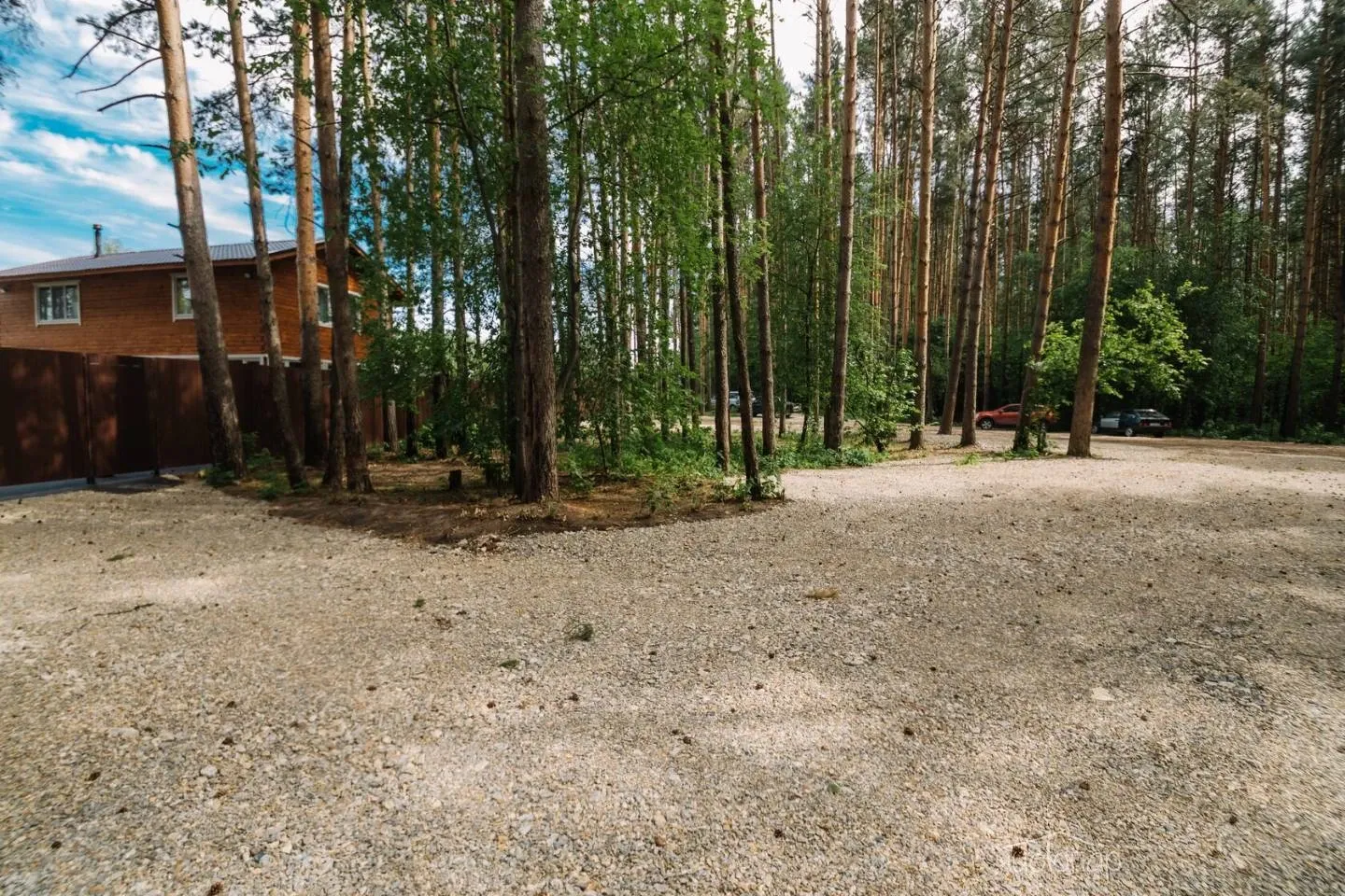 Буревестник - фотография Буревестник