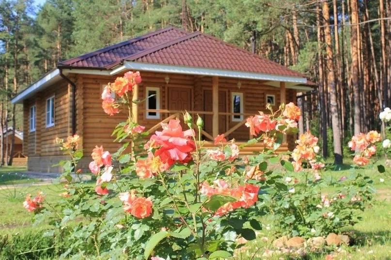 Княжья речка - фотография Княжья речка