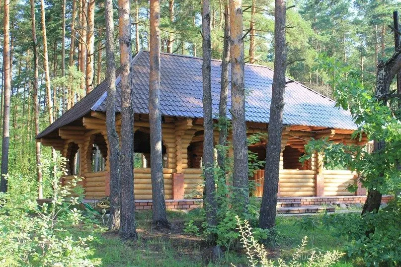 Княжья речка - фотография Княжья речка