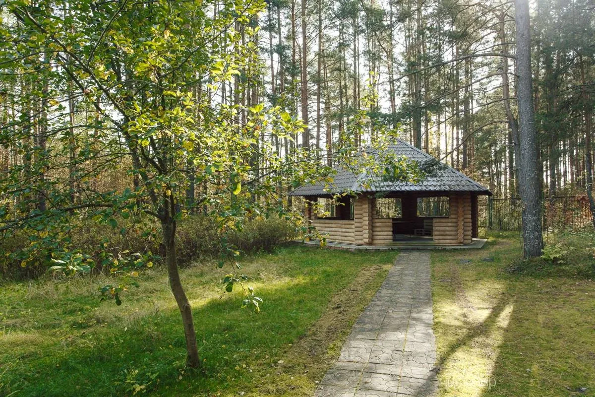Княжья речка - фотография Княжья речка