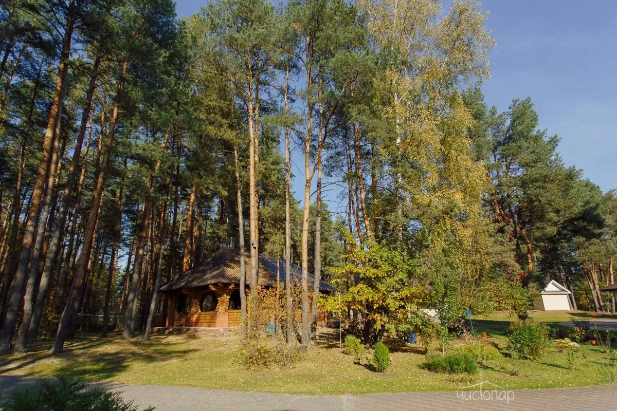 Княжья речка - фотография Княжья речка