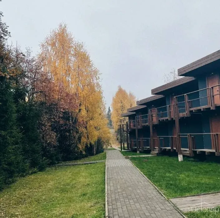 Гришкино - фотография Гришкино