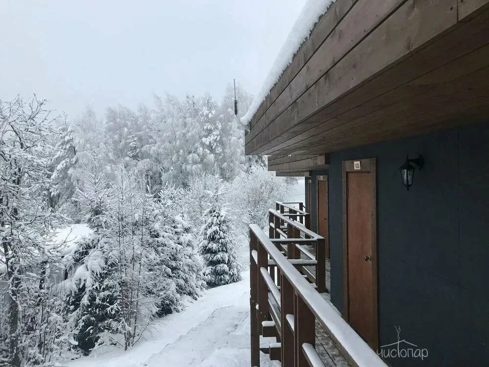 Гришкино - фотография Гришкино