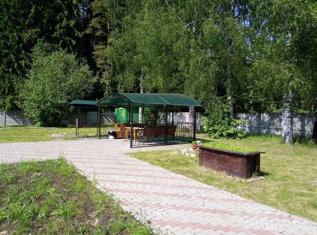 Рябеевская поляна - фотография Рябеевская поляна