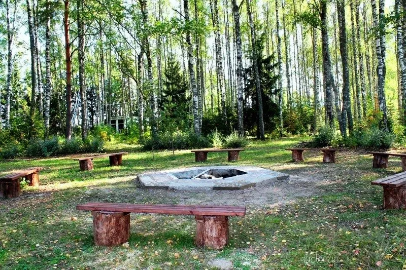 Рябеевская поляна - фотография Рябеевская поляна
