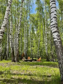 Шалаш Тимохи - фото 6