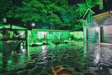 Бани & СПА «Михайловские мовницы» - фото 2