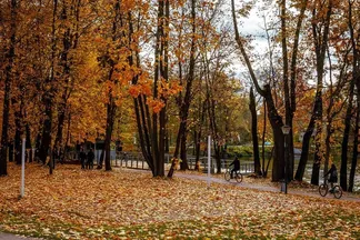 Парк-отель "Воздвиженское" - фото 42