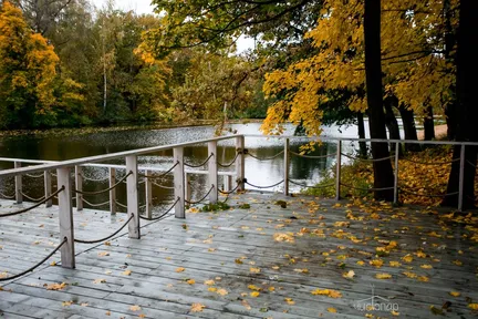 Парк-отель "Воздвиженское" - фото 44
