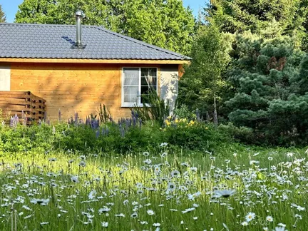 Dacha Inn Les - фото 27