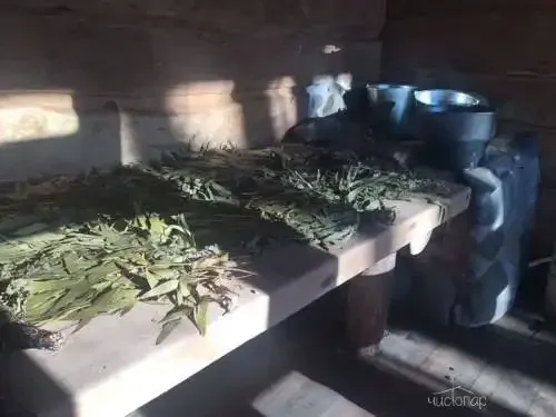 Место на Листопадной
