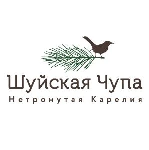 Питание - фотография Питание