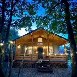 Dacha Inn Les - фотография Dacha Inn Les