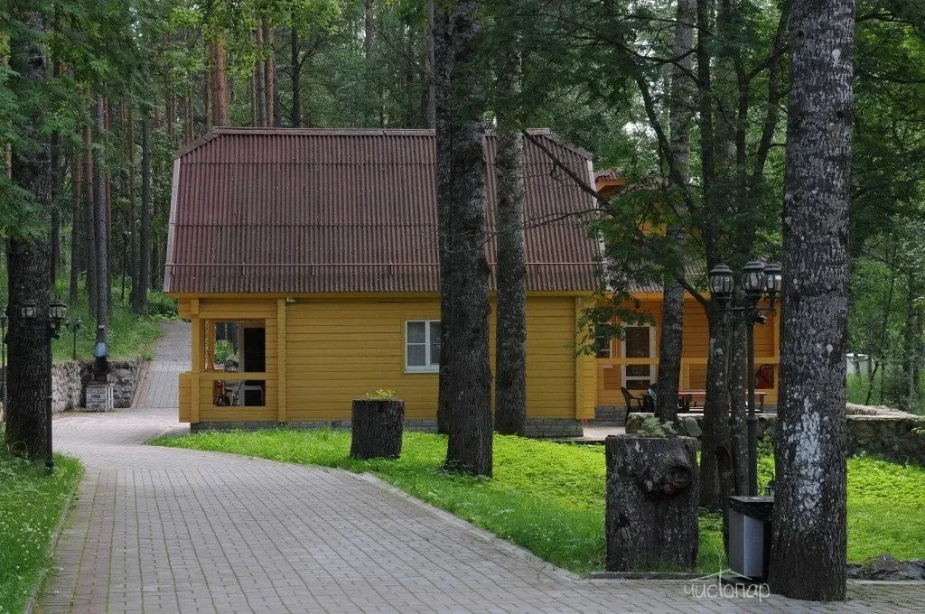 Загородный клуб «Ромашка» - фотография Загородный клуб «Ромашка»