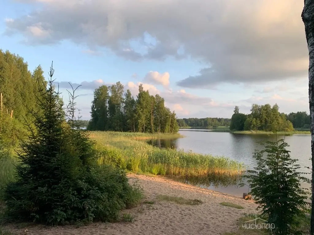 Загородный клуб «Ромашка» - фотография Загородный клуб «Ромашка»