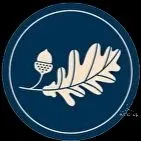 Потаповские бани - фотография Потаповские бани