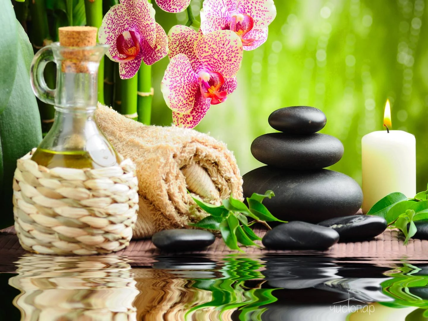 Курорт "Игора" - фото 13