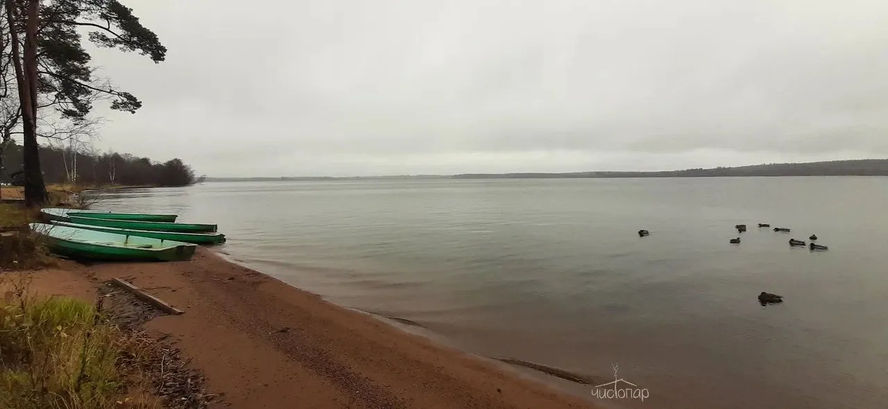Загородный отель Мичуринский Дворик - фотография Загородный отель Мичуринский Дворик