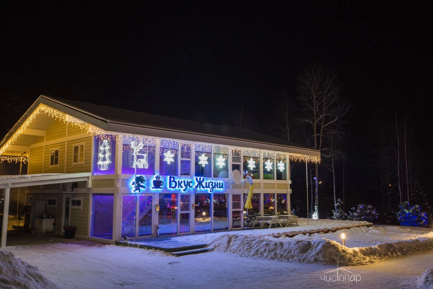 Русская Красавица - фото 57