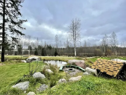 Русская Красавица - фото 16