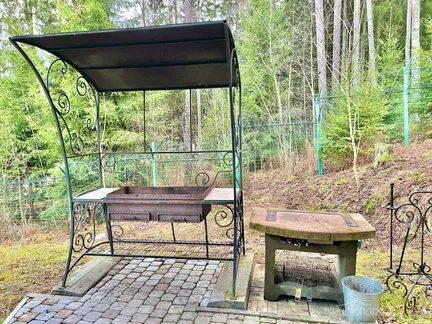 Русская Красавица - фото 19